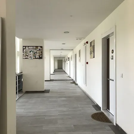 Arma * 伊斯坦布尔